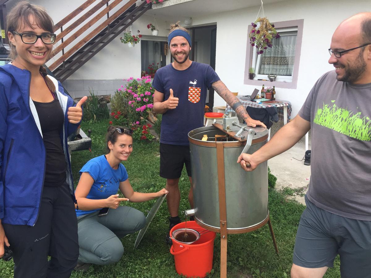 Kitka Hostel - Guest House Vratnica 외부 사진